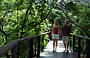 2 Day Reef & Rainforest Package