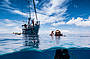 Why not hire an underwater camera