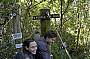 O'Reillys Rainforest Treetops