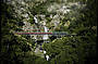Kuranda Scenic Rail at Stony Creek