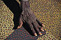 Aboriginal Art